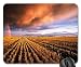 Produktbild Tracktor Maus Pad, Mauspad (Felder Maus Pad), Gummi, #030, Twin