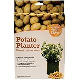 Amazon.es: Bolsas - Recipientes para plantas y accesorios: Jardín