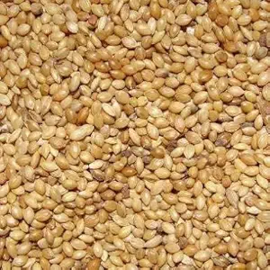 Heigh Quality kangni Bird Food for Pigeons, Doves, Finches & Small Parakeets and All Small Birds ( 1 Kg )