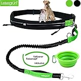 joggingleine für hunde LAUFGURT MIT 2 TASCHEN ZUM SCHUTZ IHRER WERTSACHEN: Durch zwei separate Taschen aus hochwertigem Neopren mit Zippverschluss lassen sich Handy und Schlüssel trennen, um Kratzer auf der Handyoberfläche zu vermeiden. Der wasserabweisende 4 cm breite Bauchgürtel lässt sich individuell auf ihren Taillenumfang (70 cm bis 130 cm) verstellen.