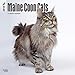 Produktbild Maine Coon Cats - Hundekatzen 2018 - 18-Monatskalender: Original BrownTrout-Kalender [Mehrsprachig] [Kalender] (Wall-Kalender)