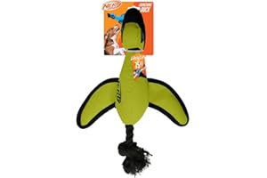 Nerf Dog - Patito de Lanzamiento de Tiro (16,5 cm), Color Verde