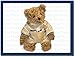 Produktbild Mercedes Benz Teddy AMG Teddybär Bär Bear Kuscheltier Kuschelbär B66950140 Parts R171 R170 R230 W209 C209 A209 W219 W204 W164