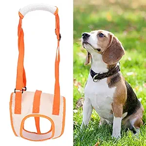 Dog Lift Harness, Breathable Comfortable Dog Rear Leg Support Belt Sturdy Ergonomic Design for Old Dog Weak Dog(M)