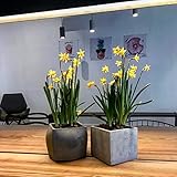  Dekoartikel Beton Blumentopf