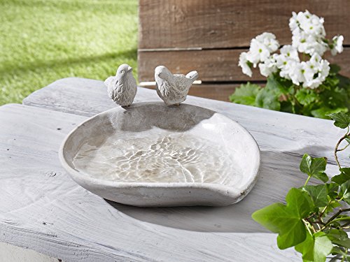 Vogeltränke „Piepmatz“ - 5