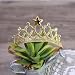 Ouneed Cute Hairband Baby Hair Band Elastic Flower Crown Headwear (Gold)