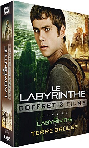 couverture de : Le labyrinthe 1 et 2