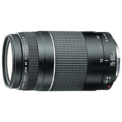 Canon EF 75-300mm f/4.0-5.6 III Taille du filtre 58mm Zoom (pas USM)