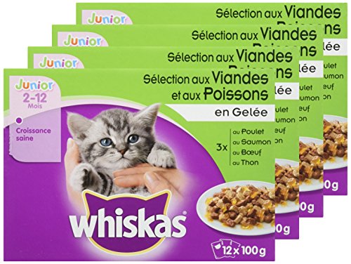 Whiskas Junior Sachets Fraicheur Pour Jeune Chat Et Chaton 2 12 Mois Selection Mixte En Gelee