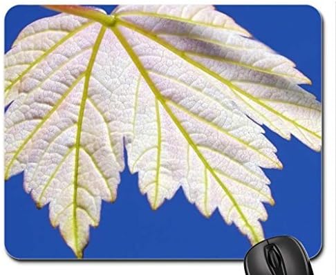 Leaf Mouse Pad, Mousepad (Forces of Nature Mouse Pad)