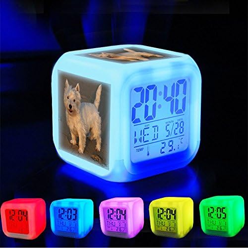 Alarm Clock 7 LED Color Changing Wake Up Bedroom with Data and Temperature Display (Changable Color) Customize the pattern-410.Wee Westie in the Golden California Sun by Randy Son Of Robe
