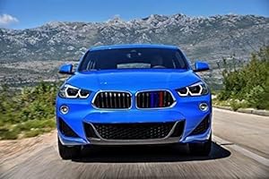 BizTech ® Clip In Grille Inserts Compatible with BMW X2 F39 2018 Bonnet Hood Kidney Sport Stripes Cover