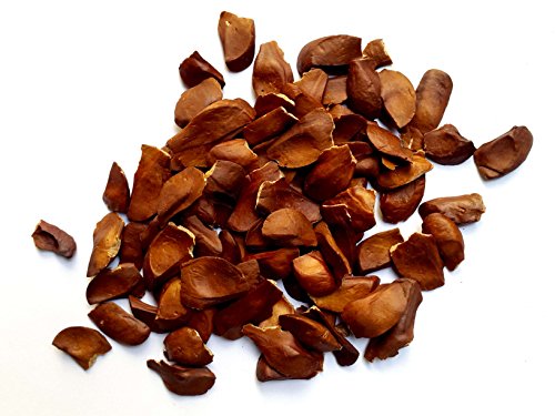 A-Grade Export Quality 250 gms Unpeeled Sky Fruit from DHERB|Mahogany|Swietenia Macrophylla| Faster Results | Better than Paneer Dodi or Paneer Doda or Meshashringi RS.333 (67.00% Off) - Amazon