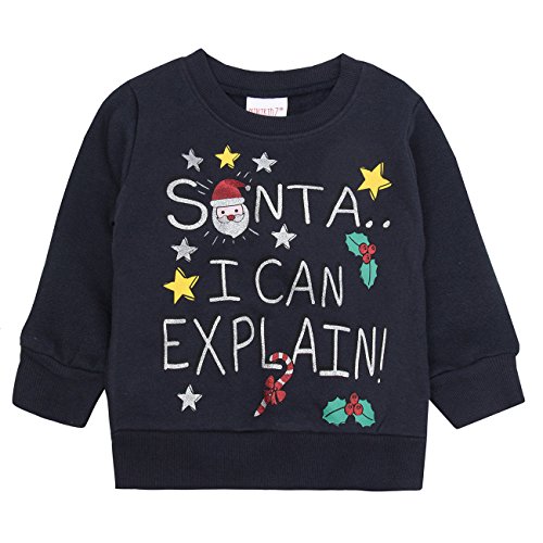 santa i can explain jumper