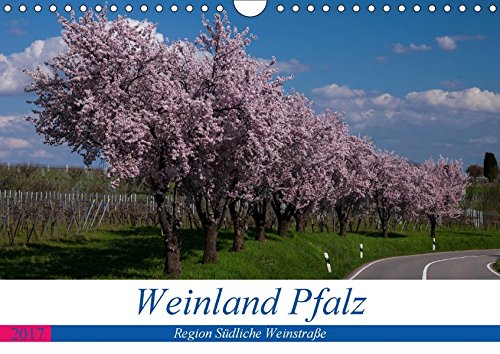 Weinland Pfalz - Region Südliche Weinstraße (Wandkalender 2017 DIN A4 quer): Die Pfalz, meine persönlichen Eindrücke (Monatskalender, 14 Seiten ) (CALVENDO Orte)