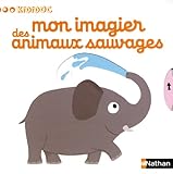 Mon imagier des animaux sauvages (10)