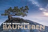 Baumleben: Kalender 2019 - Wandkalender by 