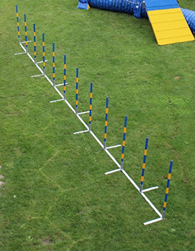 Introductory-offer-dog-agility-weave-poles-12X60cm-straight-weaves-for-training-and-kennel-club-competition