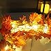 Produktbild Prevently Halloween Lichter, Halloween Themed LED Ahornblatt Dekoration Rattan, LED Beleuchtet Herbst Herbst Kürbis Ahorn Blätter Garland Thanksgiving Decor 1.7M