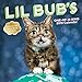 Produktbild Lil Bub 2019 Wall Calendar