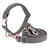 hundeleine halsband braun ♥【Verstellbarer Kragen und Hundeleine】 - Der kragen kann auf 40-60 cm eingestellt warden. Die passende hundekette ist 2m lang und hat 3 ringe. Sie können die länge und den stil nach ihren wünschen anpassen.