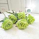 Rosa de seda BO-Garden 5 Pieces Seda Rosa 52 cm Flores Artificiales Tan Natural, 12