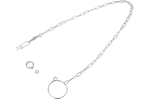 YOUTHINK Catena del piede di addestramento del pappagallo, Catena del piede divisa in acciaio inossidabile Grande anello di cavigliera di addestramento dell'animale domestico del pappagallo per uccel