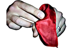 ProTriXX Vanishing Silk Komplett-Set, Verschwindendes Tuch Zaubern, Genialer Zaubertrick, Zaubertricks