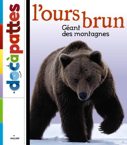 couverture de : L'ours brun