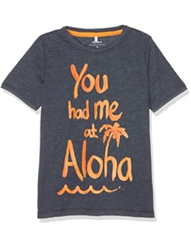 NAME IT Jungen T-Shirt Nitduke Ss Top Mz