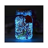 como se llama la pintura que brilla en la noche Una amplia gama de aplicaciones: pigmento de arte luminoso es la decoración perfecta para botellas de deseos, acuarios de acuario de peces, joyería pequeña, decoración de macetas, paisaje acuático, paisaje, plantas macetadas, patio, piscina, iluminación de un camino, entrada, cama de flores o jardín, decoración perfecta para botellas de deseos, paisaje, paisaje, maceta.