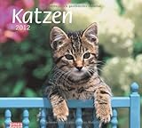 times & more Bildkalender Katzen 2012 by