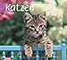 times & more Bildkalender Katzen 2012 by