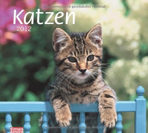 times & more Bildkalender Katzen 2012