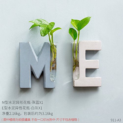 Lijuan Home Mur végétal Décoration Chambre à Coucher Salle de séjour à Suspendre Mother Vase hydroponique