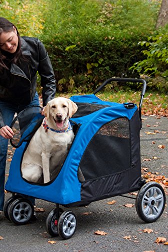 Pet-Gear-Expedition-Pet-Stroller-Sky-Blue