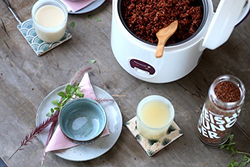 Reishunger Reiskocher mit Warmhaltefunktion, 1,2 l, 500 W, hochwertiger Innentopf mit doppelter Antihaftbeschichtung, mit Löffel und Messbecher - 3