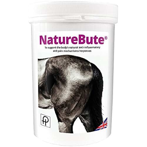 Amazon.co.uk anti inflammatory for horses