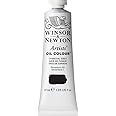 Winsor & Newton 37ml Artists' Oil Colour - Charcoal Grey