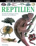 Image de Reptilien: Die Welt der Schlangen, Echsen, Krokodile und Schildkröten