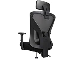 Hbada Ergonomic Office Chair with Lumbar Support, Adjustable Armrest, Headrest and Breathable Skin-Friendly Mesh, Black