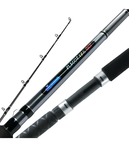 shimano sienn Shimano Sienna RD SN1000RD  Ted's Sports Center