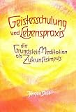 Geistesschulung und Lebenspraxis: Die Grundstein-Meditation als Zukunftsimpuls (Vorträge, gehalten in Den Haag, Weihnachten 1986/87) by 