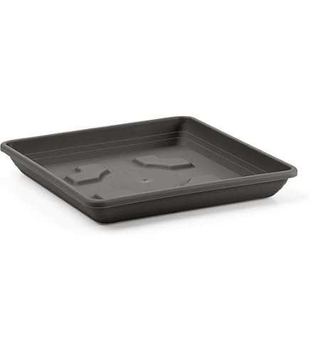 ECOPOTS Sottovaso Tondo 29 Cm – Colore Tortora, Resistente E Durevole - 6