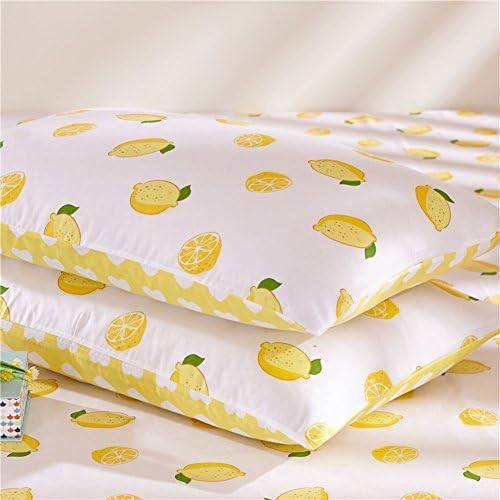 Pillowcases Pillowcase Pillowcover ultra soft wrinkle free stain resistant hypoallergenic wrinkle fade-R 48x74cm(19x29inch)