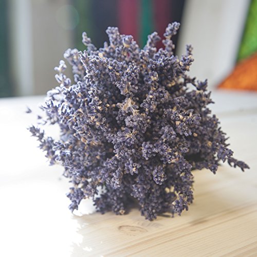 ROSEMARIE SCHULZ® Natürlicher Blumenstrauß Lavendelstrauß – Ø ca. 15cm - 6