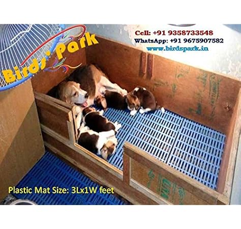 plastic floor mat for dog cage