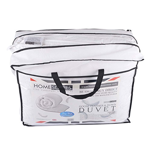 Homescapes warme Luxus Winter Bettdecke, 260 cm x 220 cm, Steppdecke, Wärmeklasse 5 – Gänsefedern und Daunen - 3