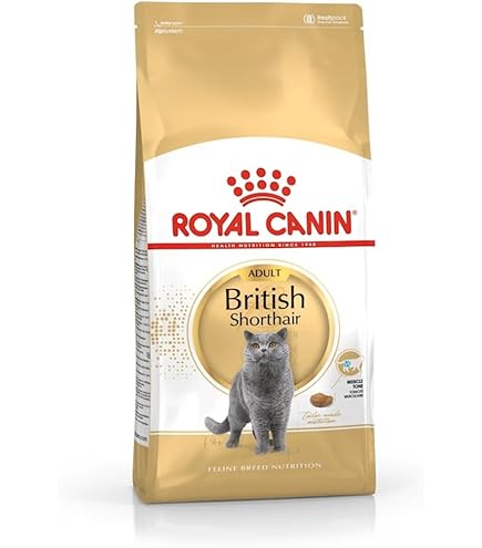  CANIN Bengal ドライフード2kg×2 Royal Canin Bengal Adult Dry Cat Food - 2KG: Buy Online at